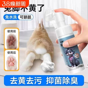 兔子洗澡神器脚底去黄爪子清洁免洗剂宠物荷兰猪粪便清理必备用品