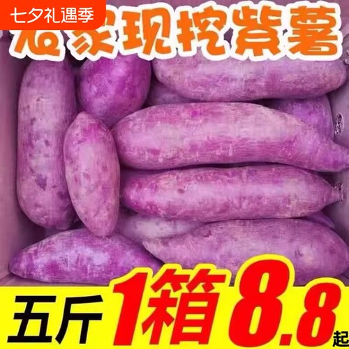 紫薯新鲜农家自种地瓜紫心蜜薯种薯9斤现挖沙地番薯山芋蔬菜当季