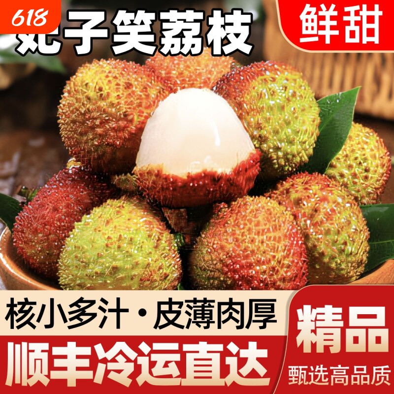 正宗现摘妃子笑荔枝顺丰冷链新鲜妃子笑现货当季水果冷冻