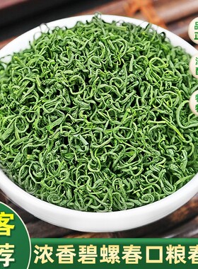 碧螺春2026新茶叶春茶高山云雾炒青绿茶浓香型茶叶散装口粮茶送礼