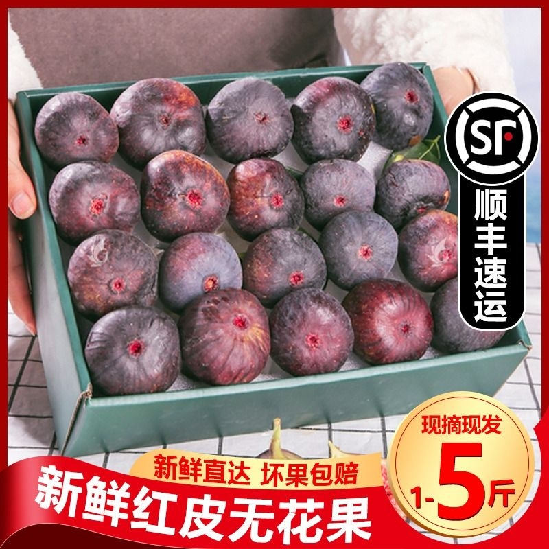 无花果顺丰包邮新鲜现摘红皮应季孕妇儿童水果鲜大果波姬红非青皮