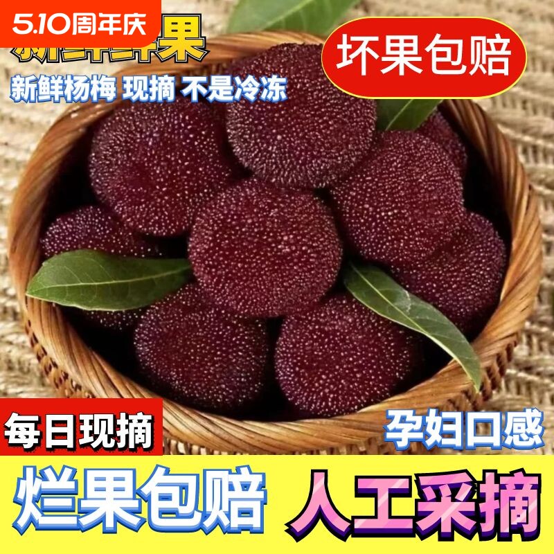 新鲜现摘现发福建浮宫杨梅新鲜杨梅早梅硬丝孕妇水果当季采摘泡酒