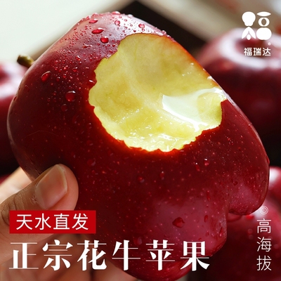 【官方推荐】正宗花牛苹果！