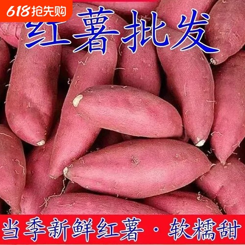 现挖沙地蜜薯红薯新鲜黄心板栗香甜软糯农家自种地瓜山芋番薯批发