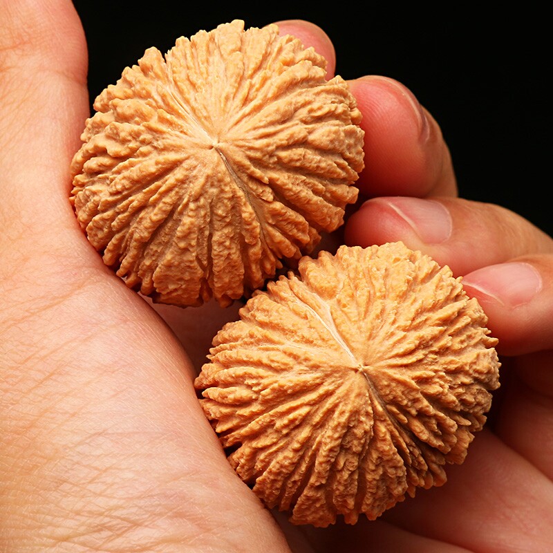 金丝小猴头姜黄皮顺纹文玩核桃手捻把件野外生老树随身盘串原料