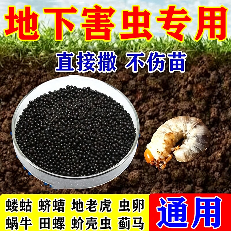 无机肥专攻地下虫蛴螬根蛆蝼蛄潮虫爬虫颗粒菜地地下害虫通用图片