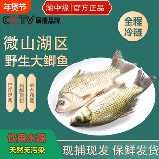 微山鲫鱼新鲜活鱼现杀淡水原生态小河鱼下奶炖汤冷冻水产整条到家