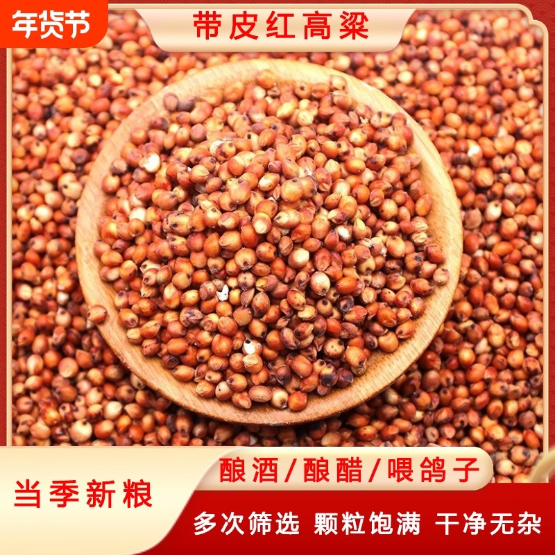 带皮红高粱未脱皮红高梁喂鸽子鸽粮鸟食信鸽饲料酿酒酿醋红高粱米