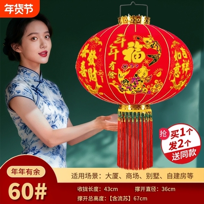 灯笼新款2026新年中式国风灯笼年年有余家和万事兴大门口一对喜庆