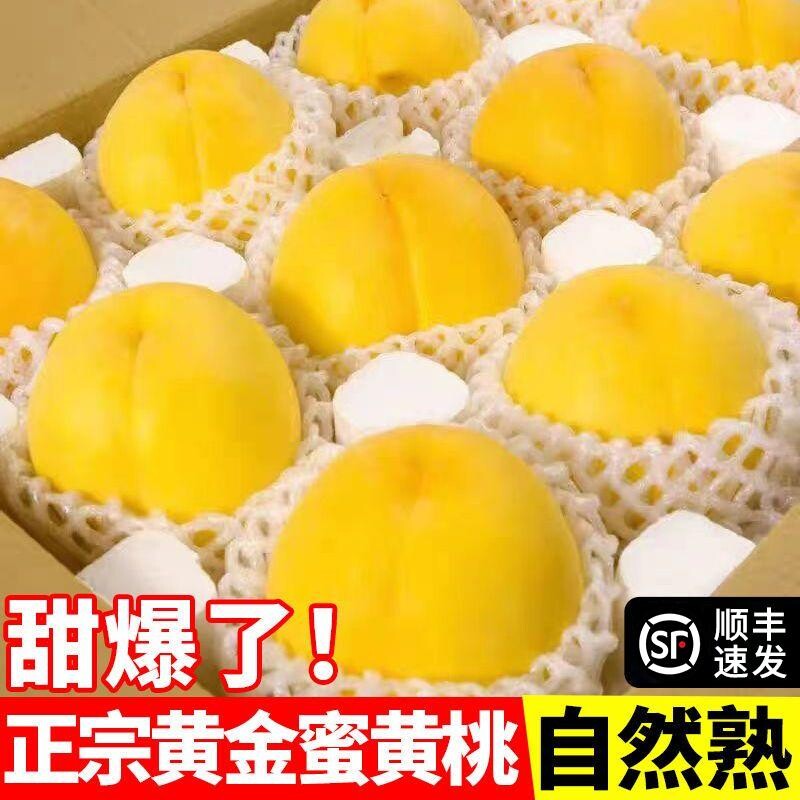 砀山黄桃新鲜毛桃子应当季水果黄肉甜桃蜜桃大果顺丰包邮现摘黄金