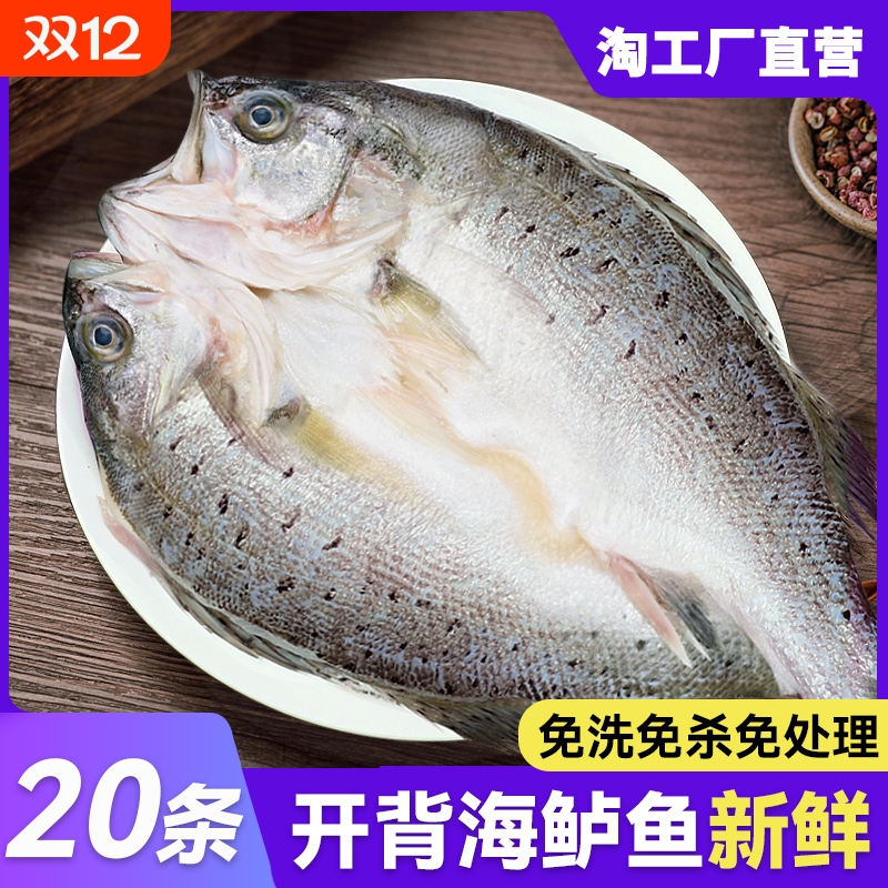 新鲜冷冻bq海鲈鱼开背半成品烤