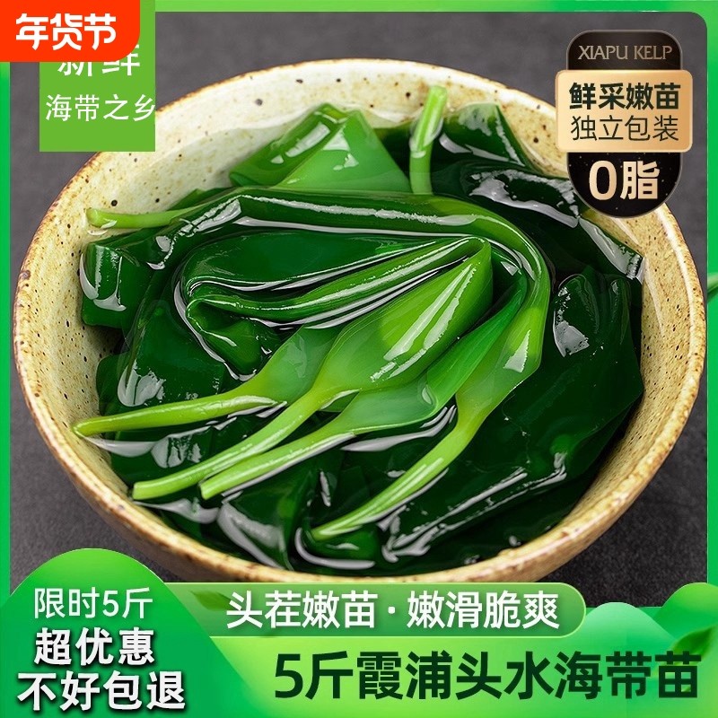 霞浦海带苗嫩特级新鲜盐渍海带嫩苗凉拌菜火锅食材商用批发干货,水产肉类/新鲜蔬果/熟食,海带,淘宝优惠券,粉丝福利购,淘宝优惠卷