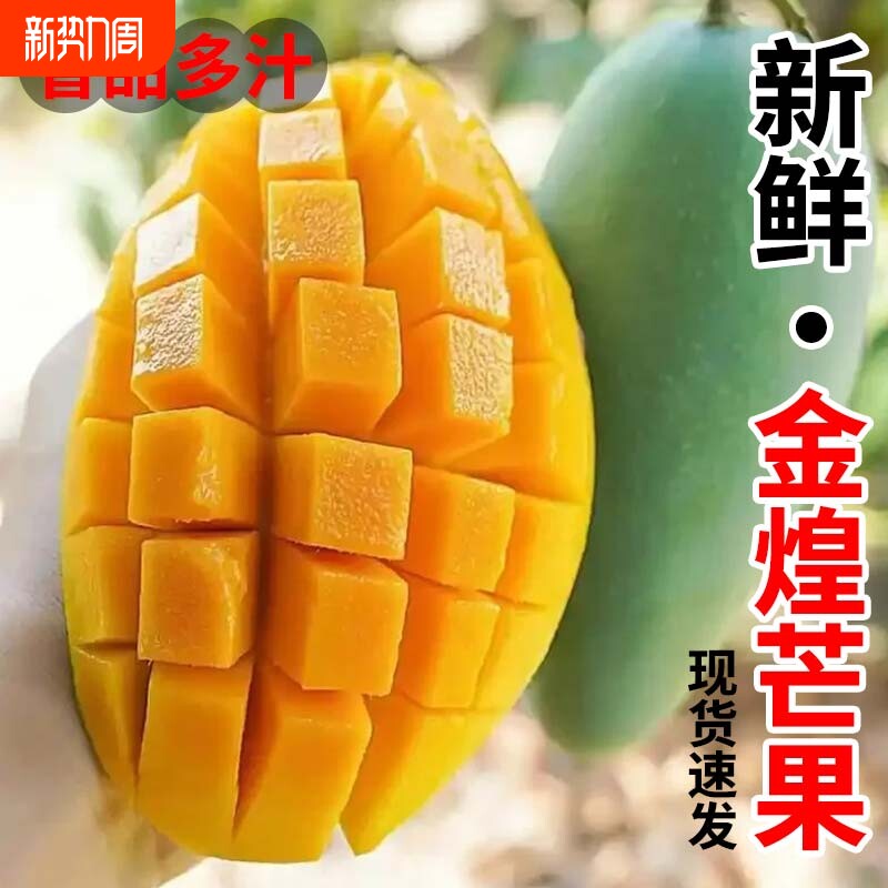 【当季鲜果】金煌芒芒果正宗当季新鲜采摘清甜多汁果香浓郁整箱