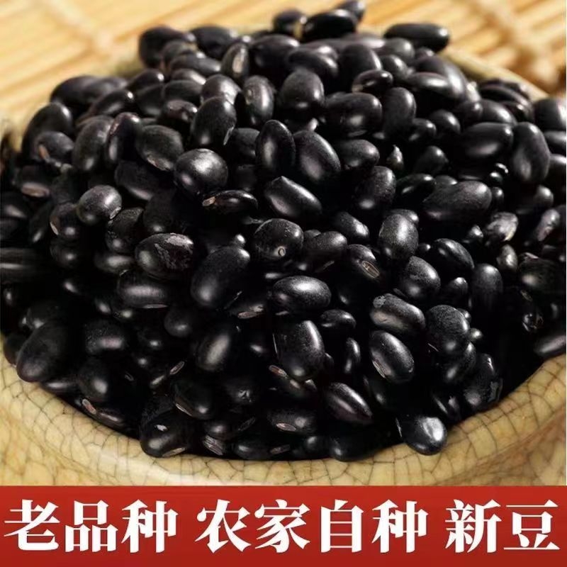 特价抢农家自种黑豆正宗新货补气血打豆浆杂粮批发老品种优质