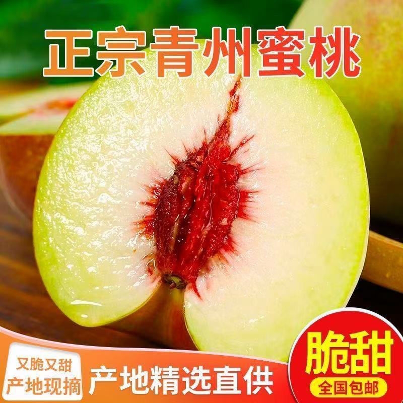 青州蜜桃山东水蜜桃特产新鲜时令水果当季现摘整箱脆桃毛桃子超甜