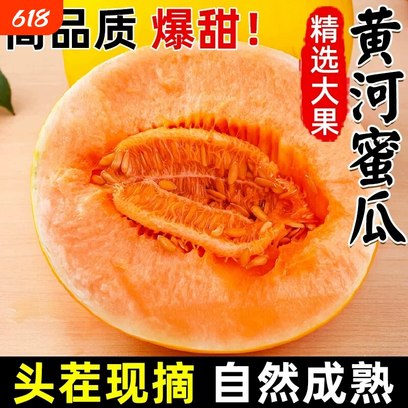 正宗黄河蜜瓜甜瓜新鲜水果应当季整箱包邮黄金脆香瓜哈密头茬民勤