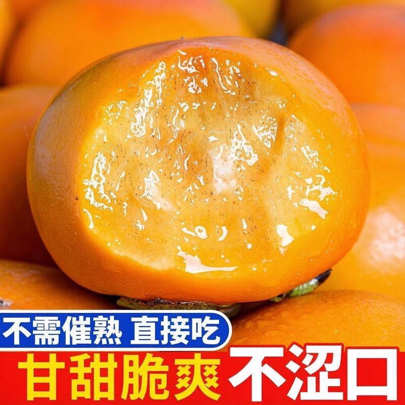 现货速发正宗山西阳丰脆柿新鲜应季甜柿巧克力柿子脆柿批发整箱