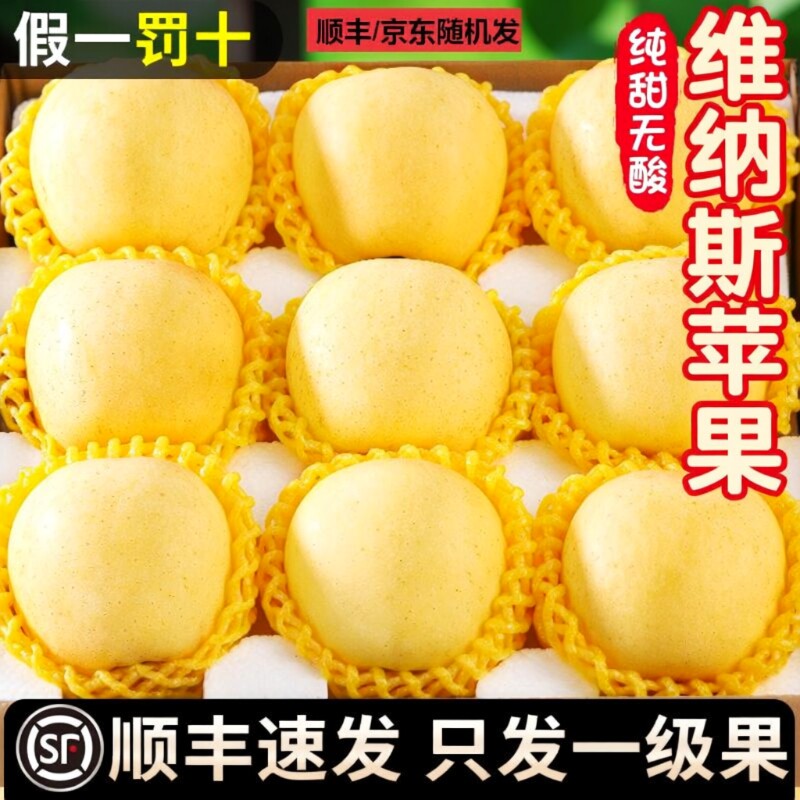 顺丰山东维纳斯黄金苹果新鲜水果当季整箱奶油富士苹果脆甜多汁