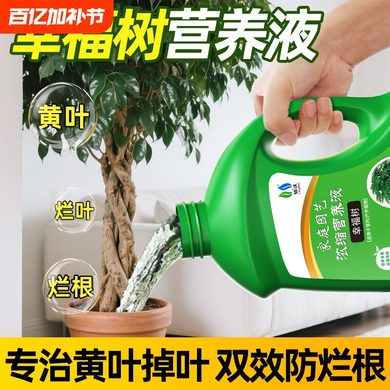 幸福树专用营养液肥料专治叶子干枯落叶阳台绿植盆栽通用型液体肥