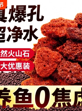 天然火山石鱼缸造景底部砂石头乌龟缸养鱼养花蝴蝶兰铺面石植物