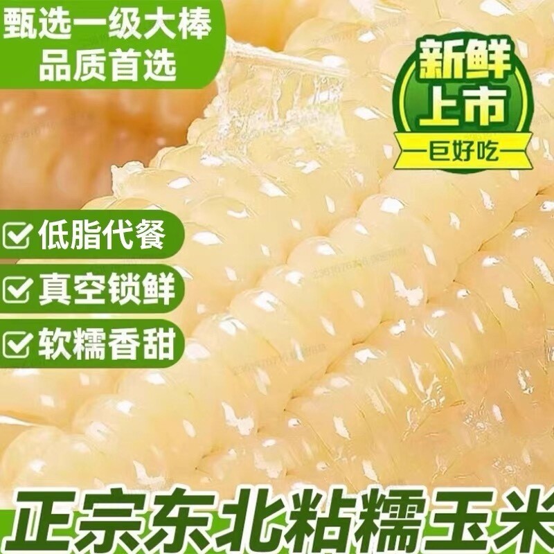 东北玉米新鲜糯玉米棒真空装包加热即食香甜粘黏糯白苞米白糯玉米