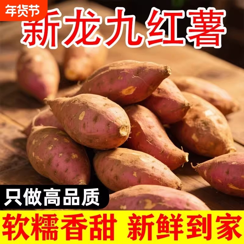 新鲜沙地红薯板栗蜜薯龙九地瓜甜粉糯番薯小香薯农家自种山芋红心