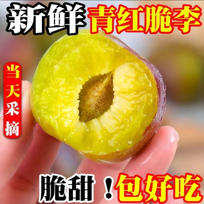 脆甜茵红李5斤整箱|超1000次加购