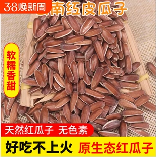 新货云南红皮瓜子山地葵花籽不上火生红瓜子特产零食原味葵花子