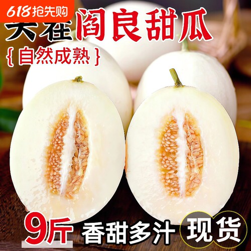 正宗阎良甜瓜头茬鲜果当季现摘脆甜白香瓜蜜瓜时令水果整箱包邮