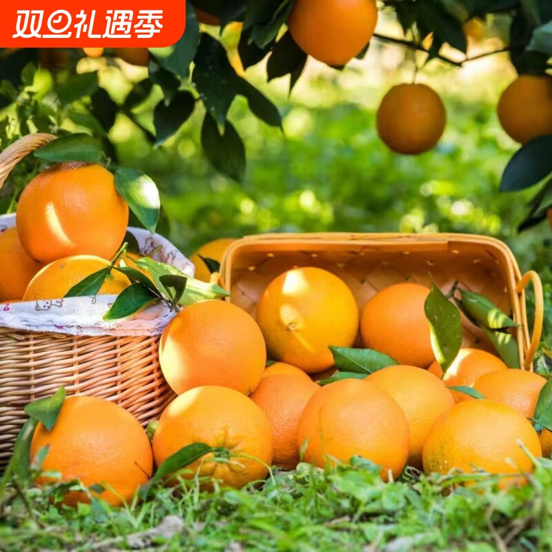 正宗橙子新鲜江西赣州脐橙手剥甜橙应当季水果