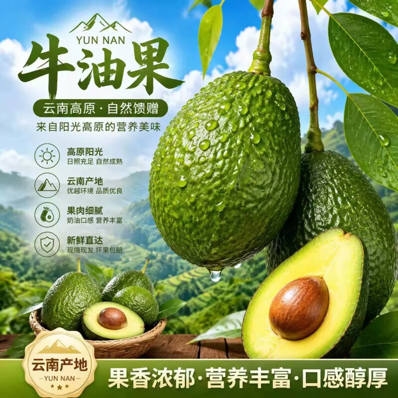 云南哈斯牛油果应当季新鲜水果整箱特大果非即食孕妇水果整箱批发