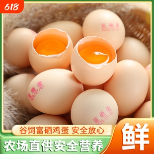 富硒鸡蛋新鲜富硒蛋农家鸡蛋月子蛋精选鲜鸡蛋笨鸡蛋