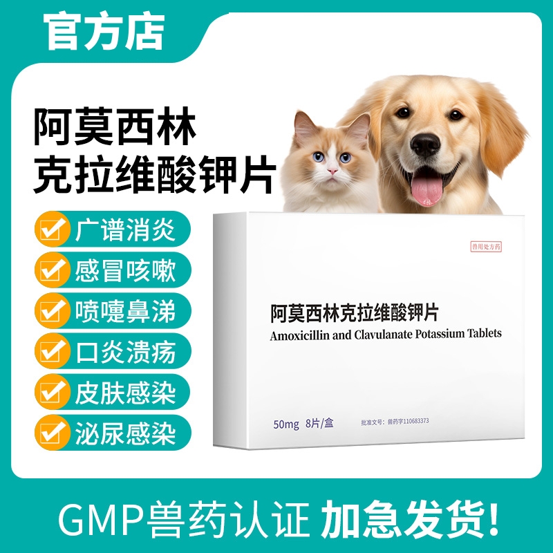 阿莫西林克拉维酸钾猫咪宠物狗狗打喷嚏感冒咳嗽速消炎片诺猫鼻支