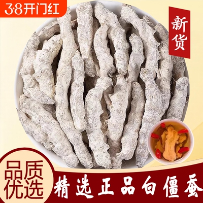 精选白僵蚕中药材僵虫干天虫全虫祛疤白僵蚕秦艽膏原料七白姜虫干