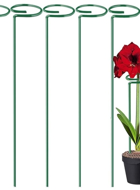 植物支撑绣球蝴蝶兰花架子固定架月季爬藤防倒伏铁艺花架护花桌面