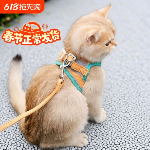 炅哆哆猫咪牵引绳子胸背带防挣脱