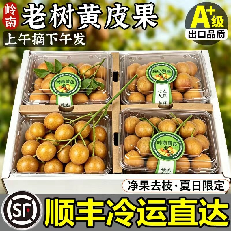 黄皮果【顺丰到家】正宗广东郁南鸡心老树大果新鲜现摘现发非无核