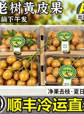 正宗广东郁南老树鸡心黄皮果大果