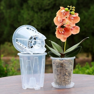 透明青山控根盆蝴蝶兰专用花盆兰花水苔塑料透气镂空大号家用