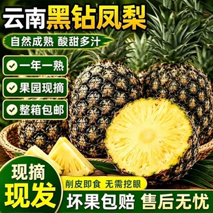 云南黑钻凤梨无眼菠萝新鲜现摘水果酸甜热带水果非金钻基地直发