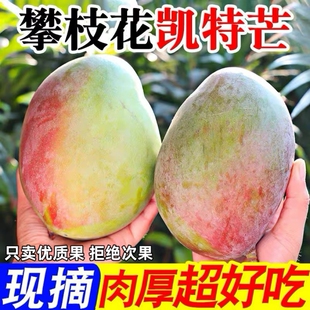 【下拉10元】4.5斤攀枝花凯特芒果单果500g+
