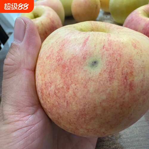 纯天然爱香妃苹果轻微瑕疵果红苹果有黑点或干疤不影响吃香甜薄皮