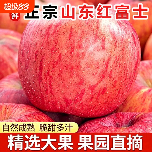 山东栖霞烟台苹果人工筛选精品