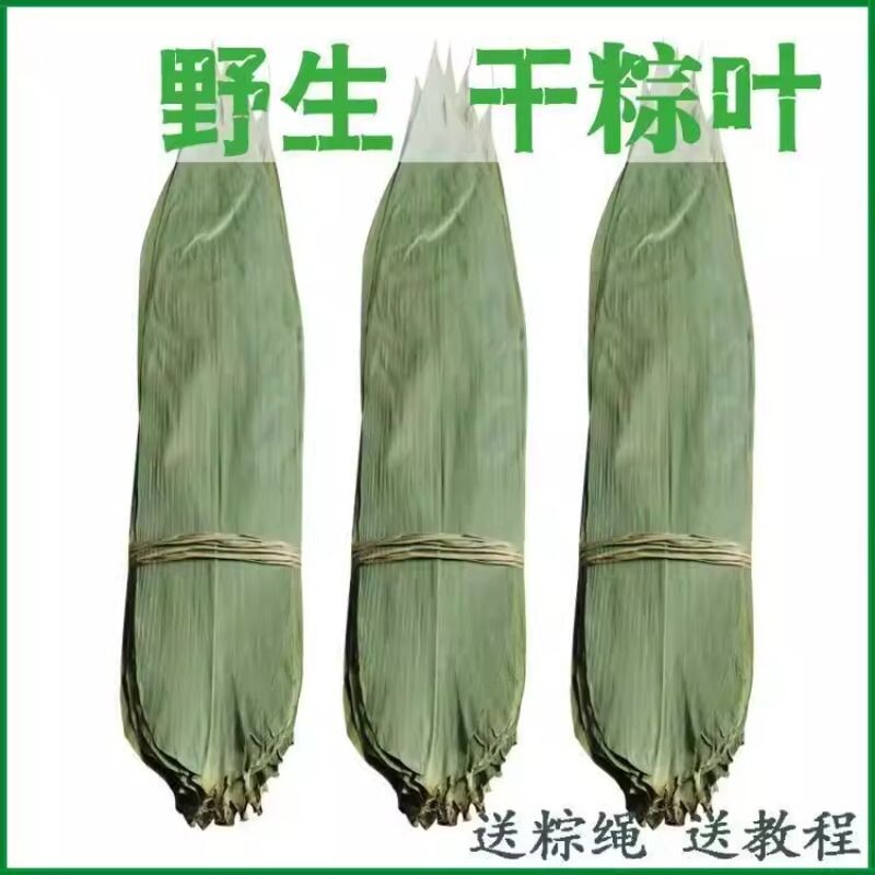 干粽叶棕叶粽子叶新鲜大号家用竹叶包粽子的粽叶特大码叶子斑斓叶