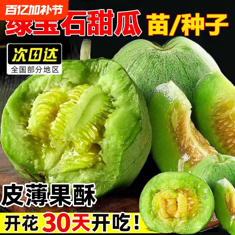 绿宝石甜瓜种籽大全春季羊角蜜种子正品四季蔬菜种孑香瓜种籽秧苗