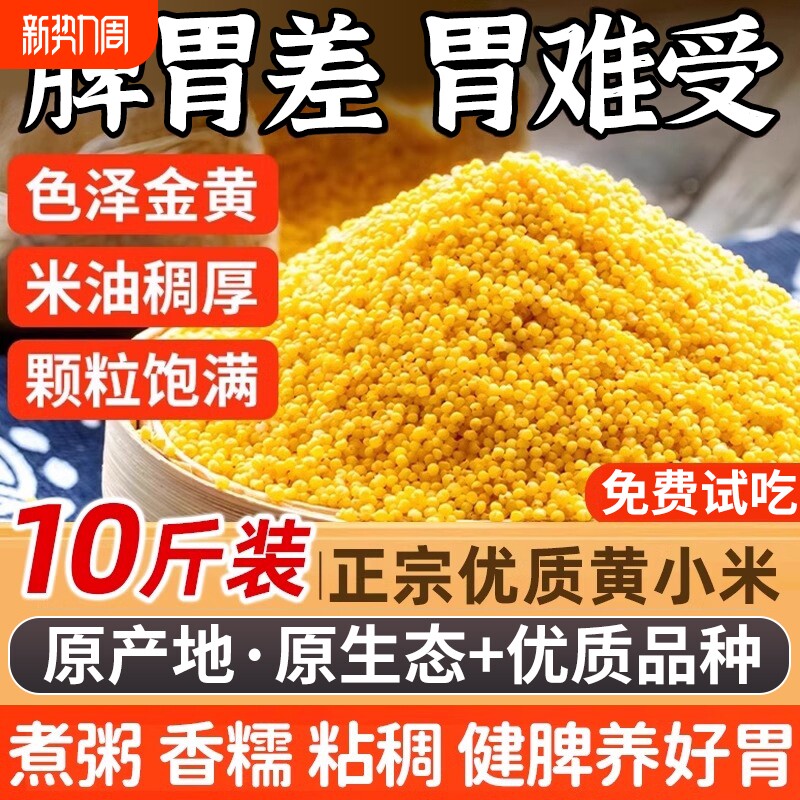黄小米新米农家优质小黄米五谷杂粮糯沁州黄小米早餐煲粥米油丰厚