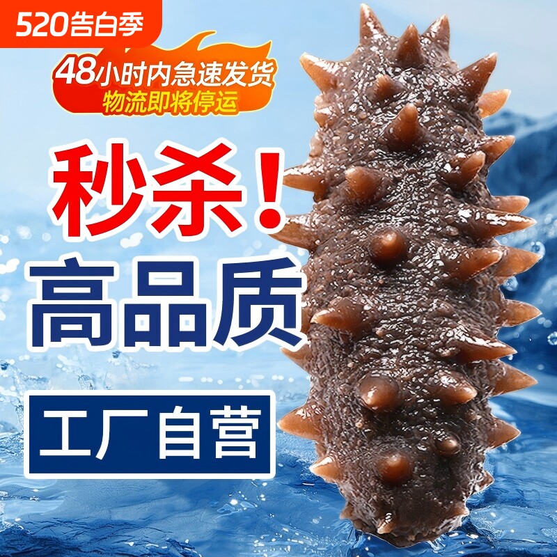 海参即食大连鲜活冷冻辽参海生叁刺参礼盒500g真空包装年货水产