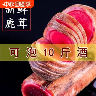 新鮮鹿茸整根頭茬二杠吉林梅花鹿茸整枝帶血泡酒藥材煲湯鹿角滋補