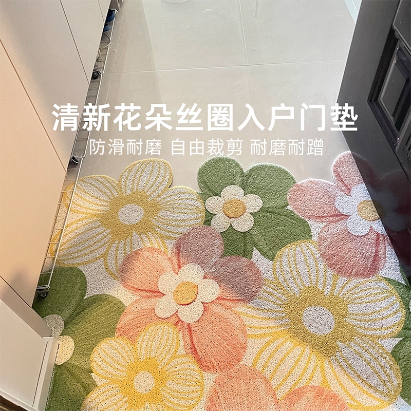 丝圈入户门地垫地毯入户防滑耐脏