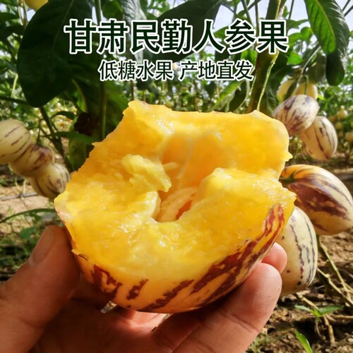 甘肃人参果新鲜低糖水果清甜